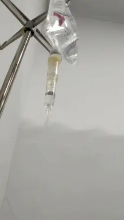 prank doi