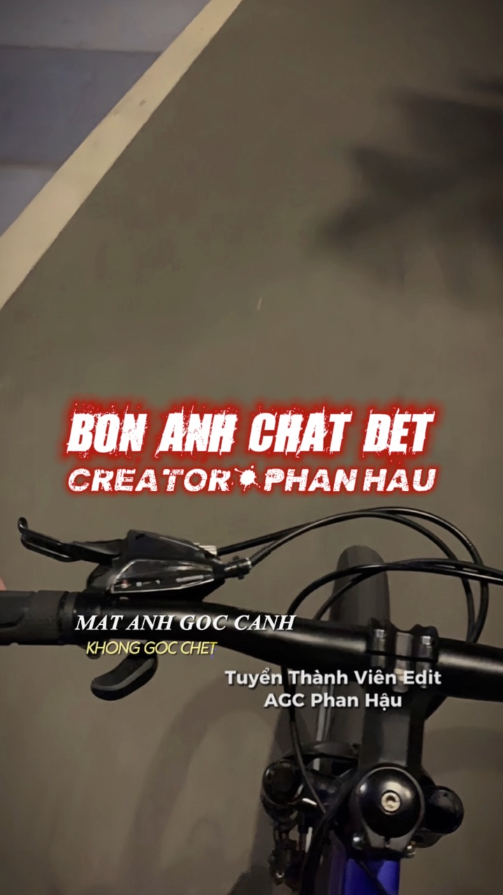 Nhìn ha vuelto 