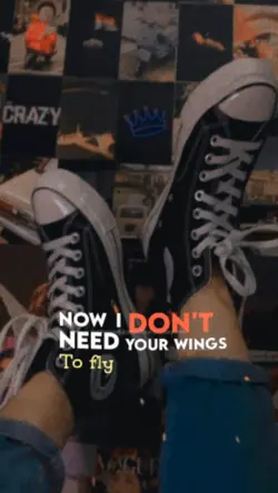 NowIDontNeedYouWings