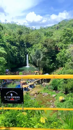🍃