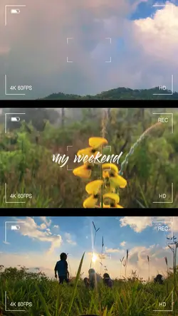 Transisi estetik slo