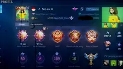 Mobile legends