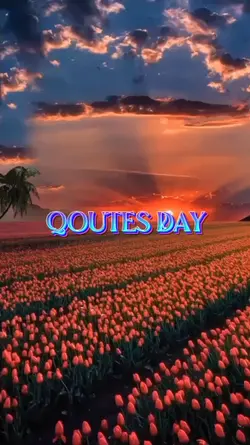 Qoutes Day