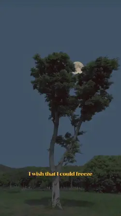 Lirik Vibes