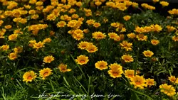 Cinematic color #4