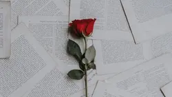 Remix-Mary ona cross