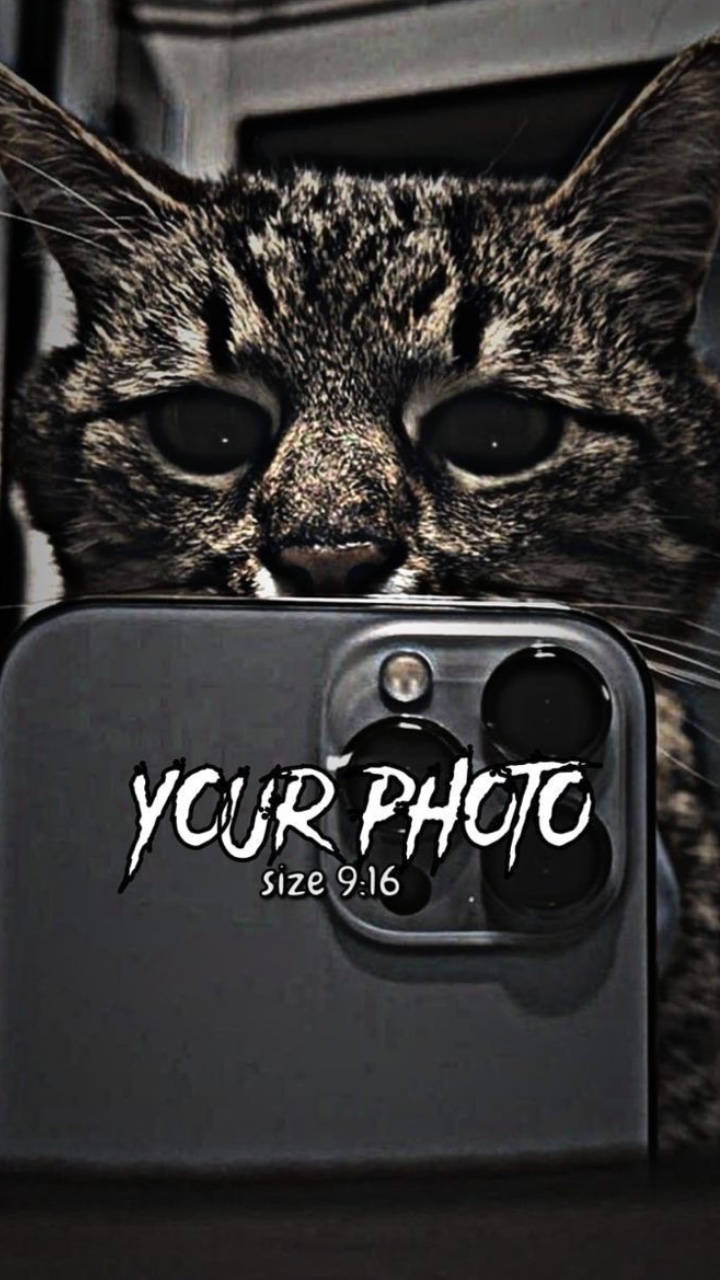 写真📸5枚でかっこいいテンプレート！