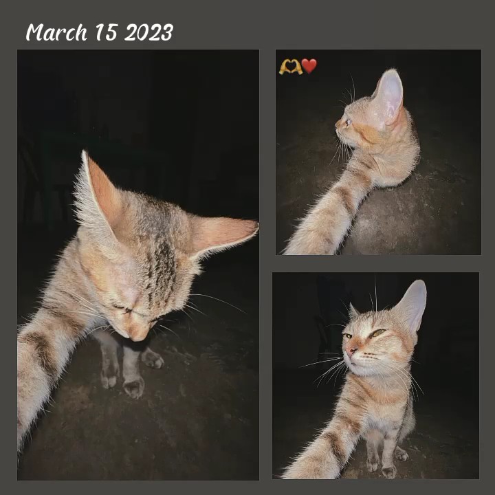 15 mars 2023 