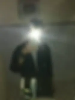 花瓣飘落+朦胧感