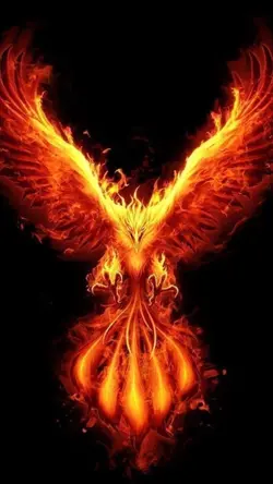 3รูป รูปจากพินนะงับ