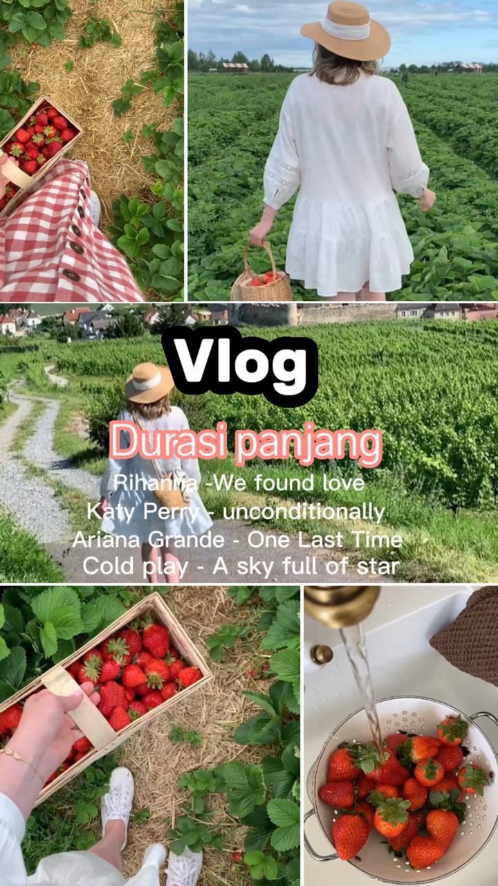 Vlog durasi panjang