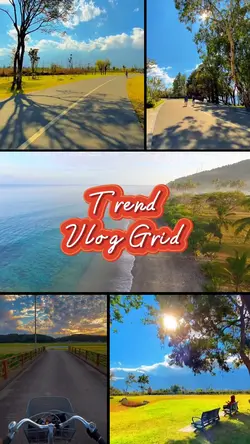 Trend Vlog Grid