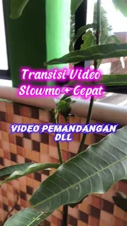 Transisi Video Keren