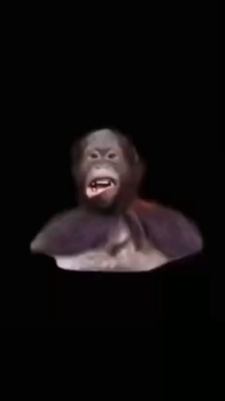 meme blague kocak