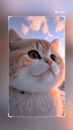 tiktok trend
