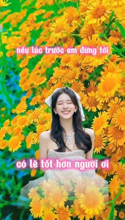 mẫu chuyển cảnh