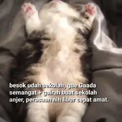 besok sekolah
