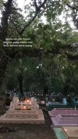 Story Wa