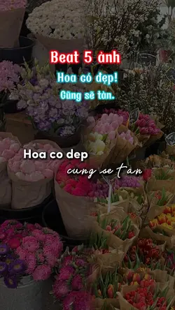 Beat 5 ảnh
