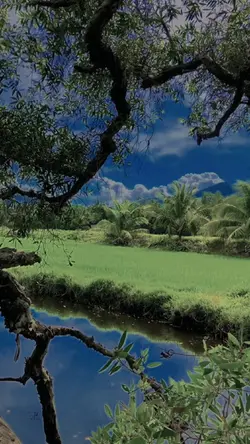 Slow thiên nhiên