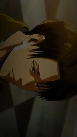 levi
