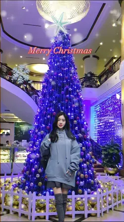 ¹Mẫu giáng sinh⁵