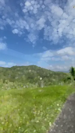SLOMOW TREND TIKTOK