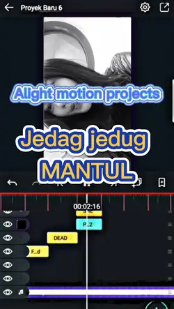 Alight motion Projek