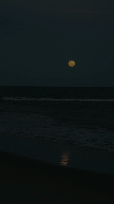 moonlight
