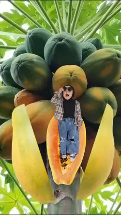 Buah Kates