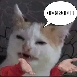 나의 애인소개 