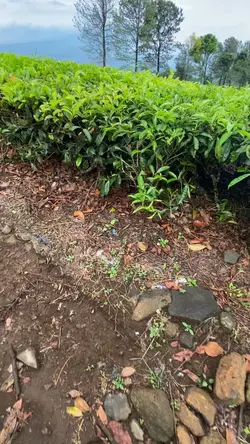 Prank snap mentahan