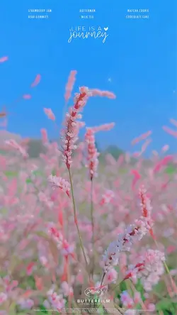 CHUYỂN MÀU ✨