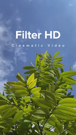Cinematic Filter HD
