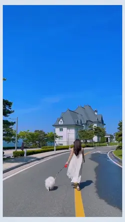 Video chuyển màu 🌈