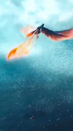 Burung Phoenix api