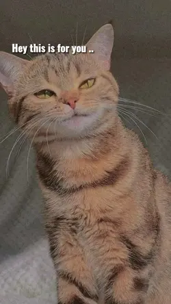 i'm promise im yours