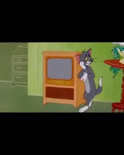 TomNJerry