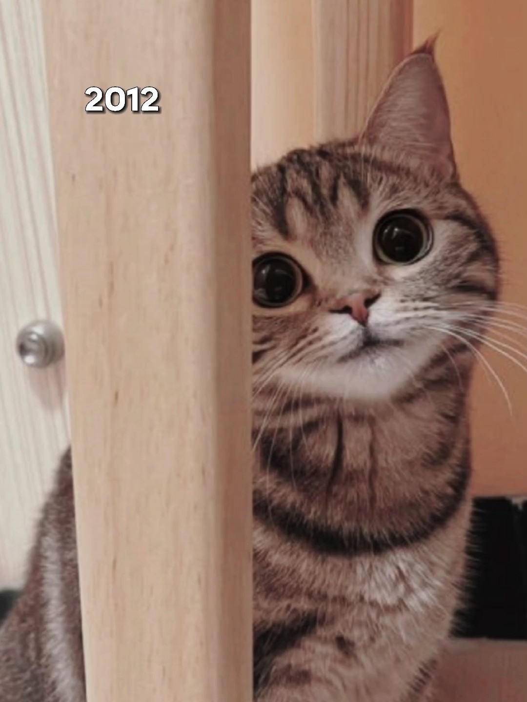 2012 vs 2023