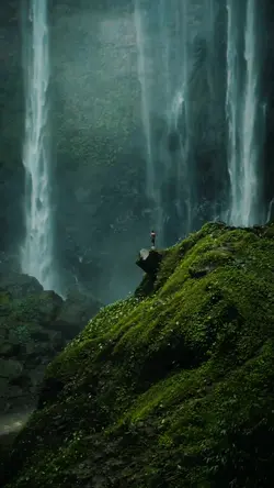 luts nature