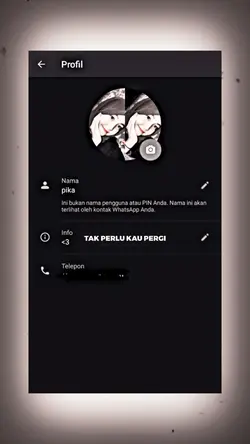 Profil wa
