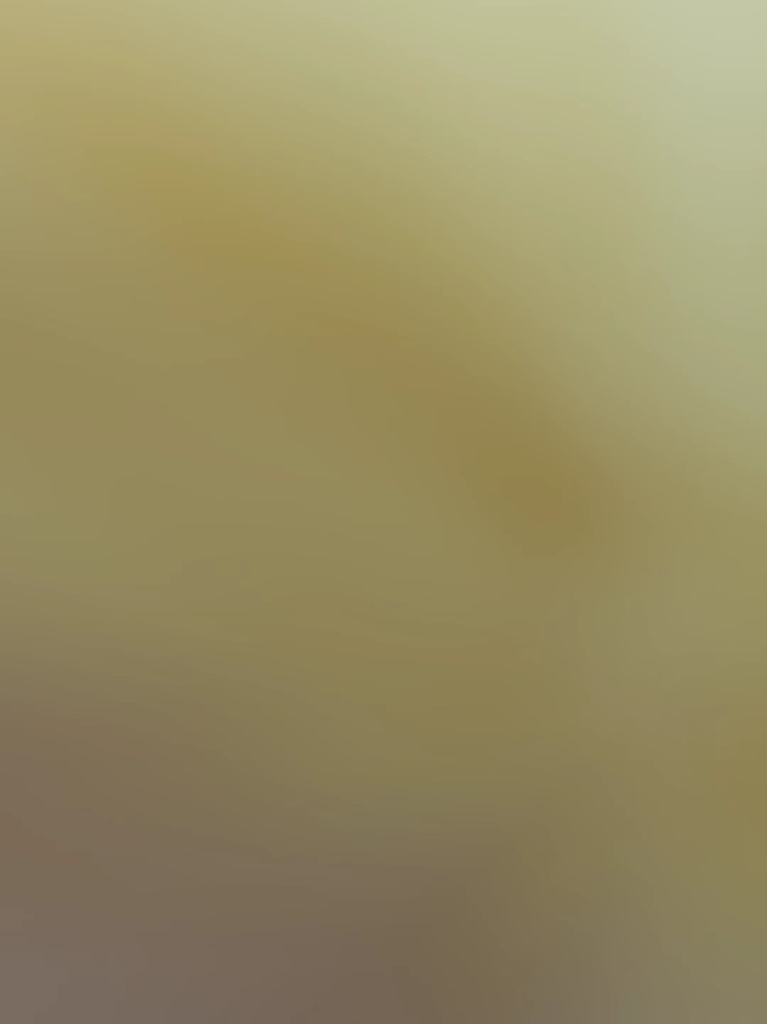 6枚テンプレ！