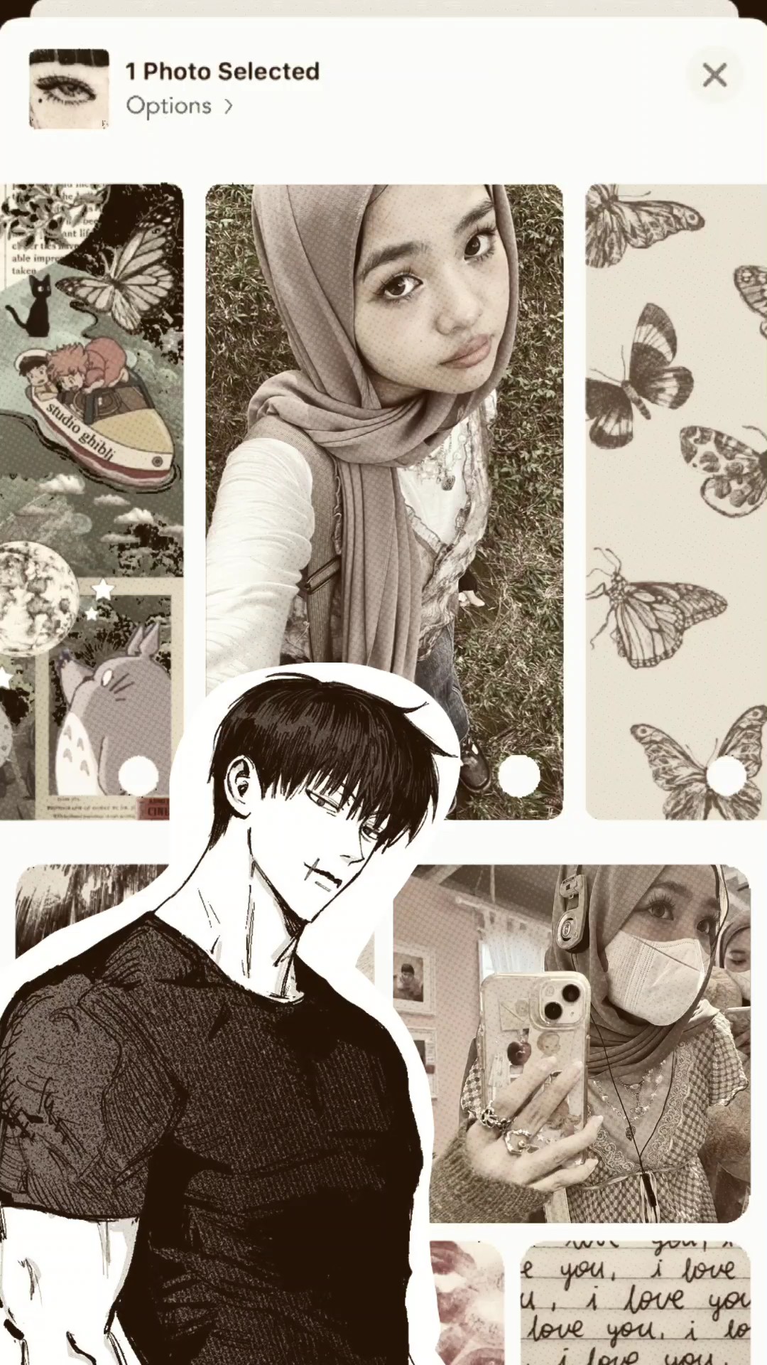 Cover Picture