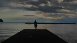 insert vid/timelapse