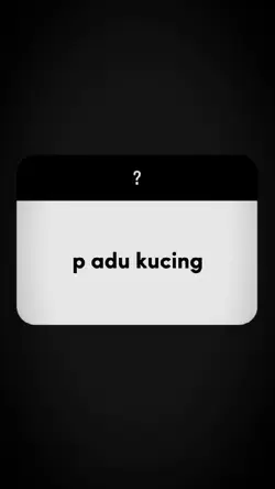 p adu kucing 