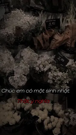 Mẫu sinh nhật