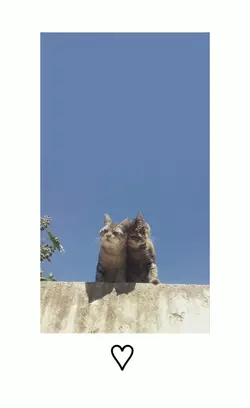 รอยยิ้ม วงสครับ^^