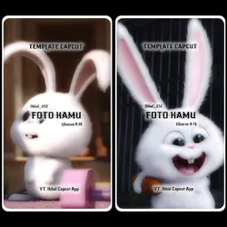 Collab Berdua