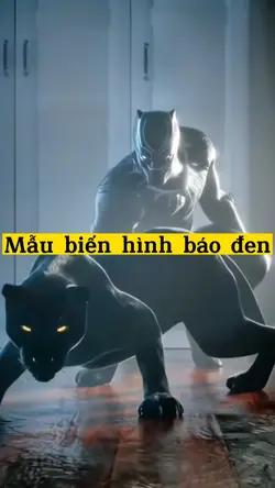 Mẫu biến hình báođen