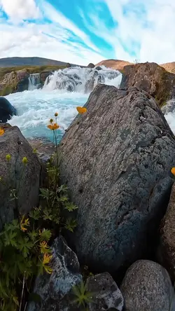 simple vlog